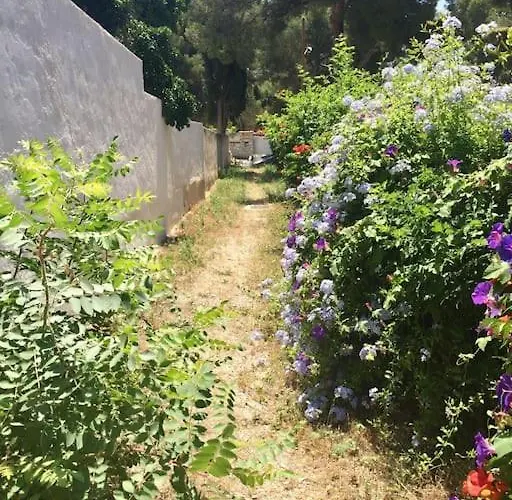 Bianca T2 - Terrasse - Parking - Calme - 1mn De La Cassis
