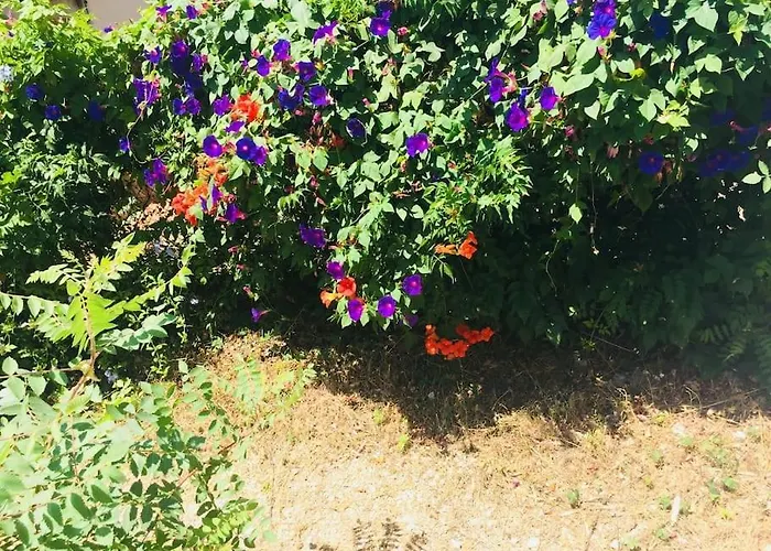 Bianca T2 - Terrasse - Parking - Calme - 1mn De La