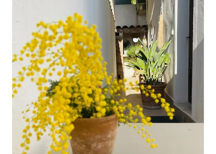 Apartman Bianca T2 - Terrasse - Parking - Calme - 1mn De La